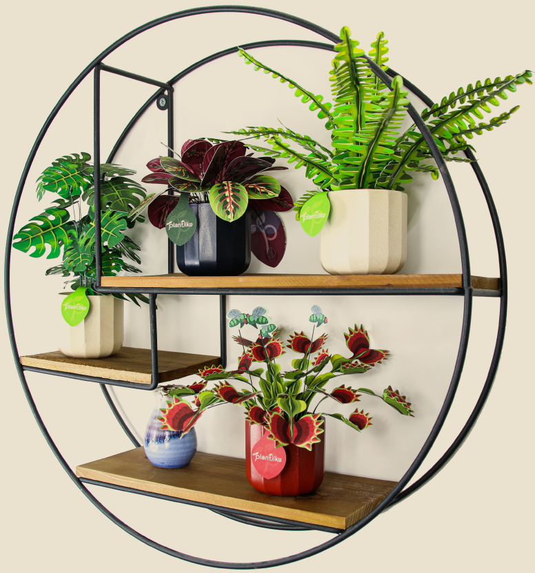 Plantlike kits on display