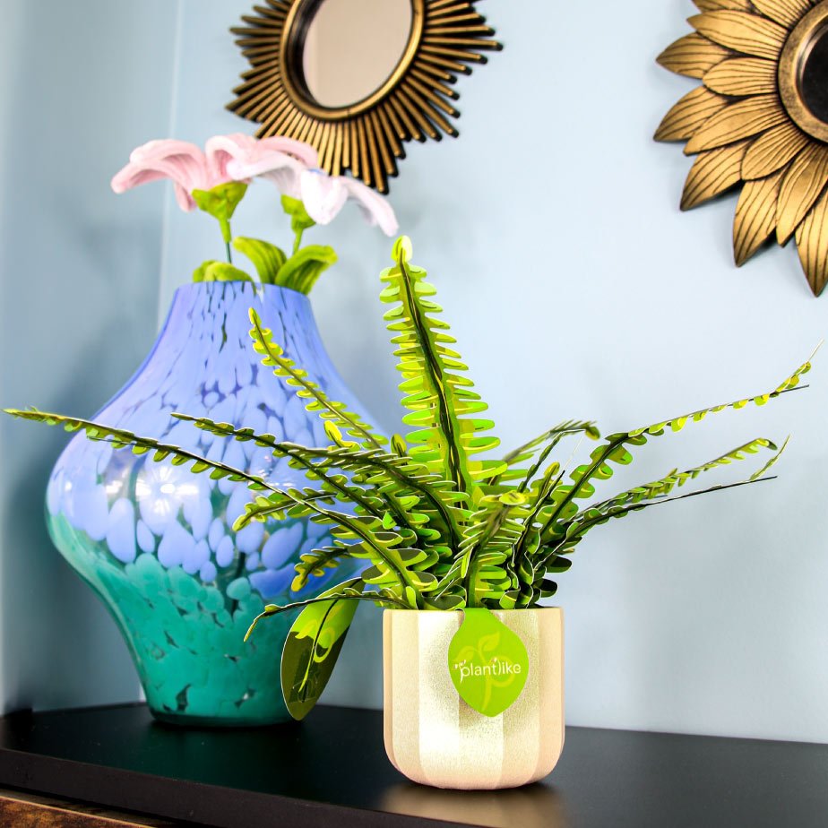 Boston Fern in a styled home setting