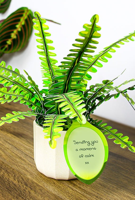 Add a gift note and insert it as a leaf in your Plantlike